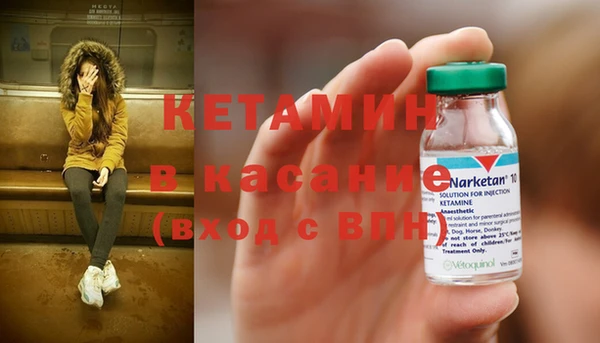 бошки Пересвет