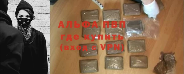 стаф Пестово