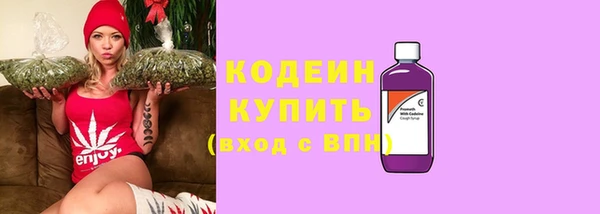 бошки Пересвет
