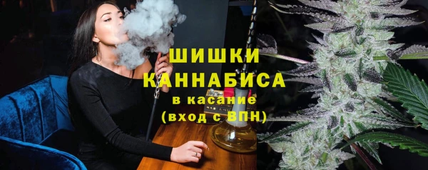 бошки Пересвет