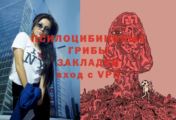 герыч Арсеньев