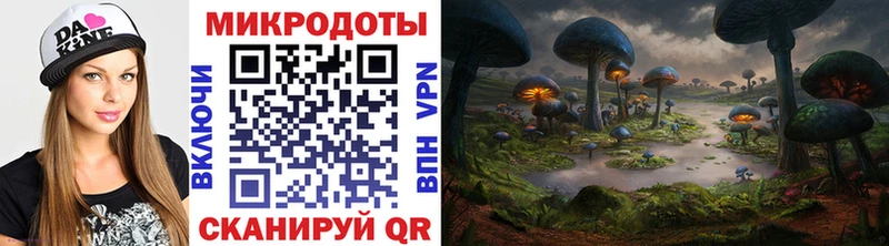 нарко площадка какой сайт Томмот Псилоцибиновые грибы Psilocybe